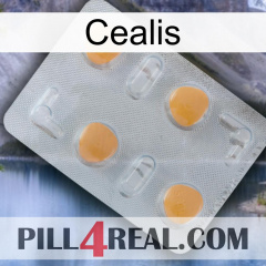 Cealis 24